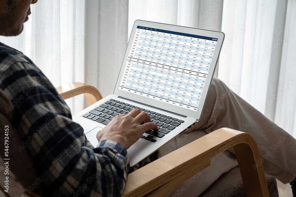 Poster accounting software on computer screen showing financial statement spreadsheets and account balance 