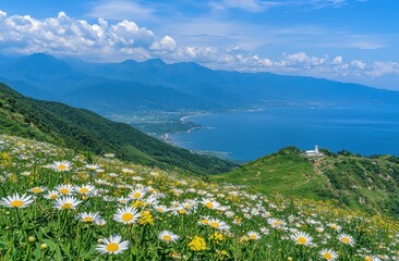 Mountain slope ablaze with daisies, overlooking a serene coastal vista under a vibrant blue sky