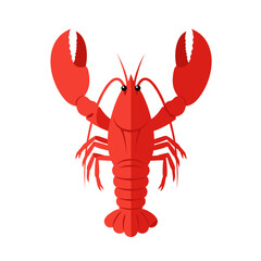 Illustration of a vibrant red lobster, a popular seafood delicacy on a white background