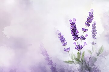 Naklejka premium Delicate lavender blossoms in soft pastel hues.