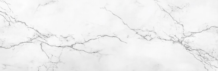 White Marble Texture: Elegant Veined Design