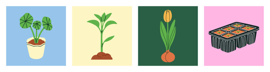 Set of posters with vector illustrations of tulip bulb, sprouts and a container for sprouting seeds. Perfect for content around gardening products, advertisements, instructional guides.