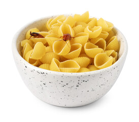Cockroaches crawling on pasta in bowl against white background