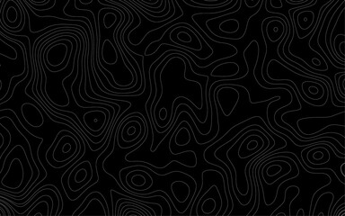 White background topography contour map with black curve lines. Topography map background. Vector geographic contour map