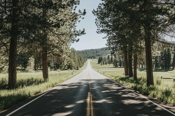Fototapeta premium Sunlit asphalt road flanked by tall pines leading to distant hills under a clear sky