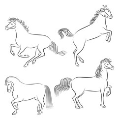 Collection. Silhouette of a beautiful strong horse. The animal runs fast. Drawing for aesthetic decor, posters, stickers, logo. Vector illustrations set