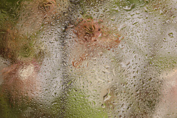 Soft focus green, beige pink leaf and  flower bouquet through glass with wet water drops. Abstract...