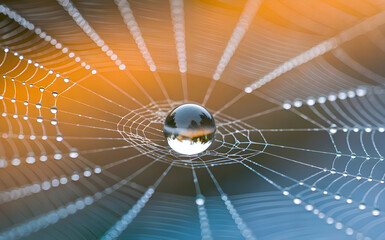 Close-up of a Water Droplet on Rainbow-Hued Spider Web
