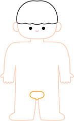 우리 몸 장기 퍼즐 일러스트