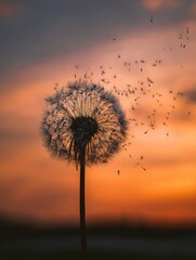 Floating Dandelion Clock Drifts Gently Against a Golden Sunset Sky in a Tranquil Evening Scene Generative AI
