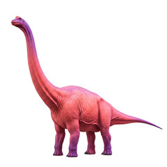 Pink and purple long-necked dinosaur standing upright © PNG Lab