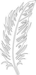 Obraz premium Feather outlined with jagged, fringed edges and detailed cuts running along the contour line.