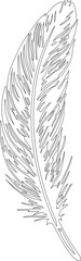Obraz premium Stylized feather illustration created with casual, freehand strokes and dotted texture effects.