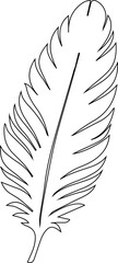 Obraz premium Asymmetrical feather composed of irregular curves and naturalistic line shapes in a freeform arrangement.