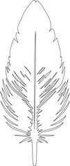 Feather outlined with sharp, clean lines to create a bold silhouette against the background.