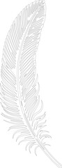 Obraz premium Feather drawn with a continuous, single line forming its overall shape, with minimal details.
