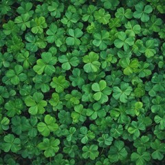 Close-up of vibrant green clover leaf background, shamrock, Irish