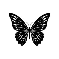 butterfly wings vector on white background  .svg