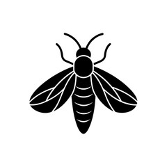firefly icon on white background  .svg