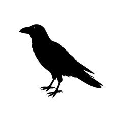 raven silhouette on white background  .svg