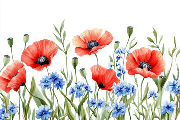 Fototapeta premium Watercolor poppies and cornflowers isolated on white background