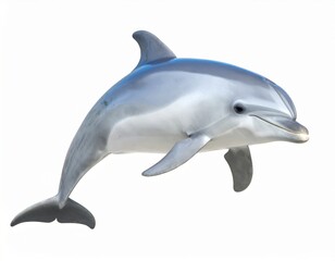 Fototapeta premium Dolphin over white background