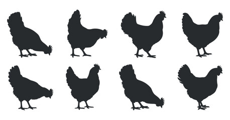 Collection of Eight Chicken Silhouettes in Various Poses