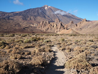 Footpath among lava valley with dry plants at the foot of Teide volcano on a sunny clear day at sunset. Dramatic landscape of Roques de Garcia, Tenerife, Canary Islands, Spain.