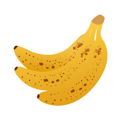 Bananas: The Delicious and Nutritious Fruit