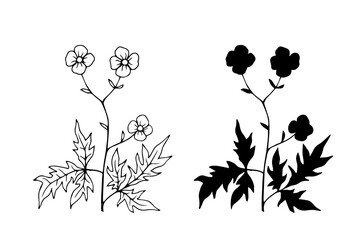 Linear sketch, silhouette, stamp of wild meadow grasses, wild flowers. Vector graphics.