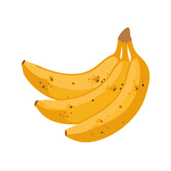 Bananas: The Delicious and Nutritious Fruit