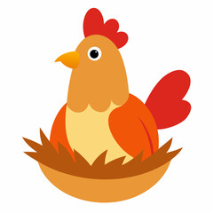 chicken sitting with eggs on white background 