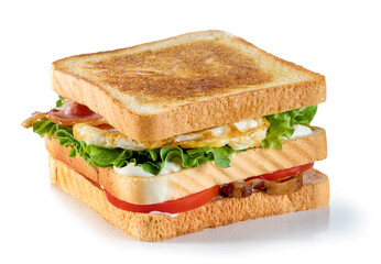 club sandwich on white background