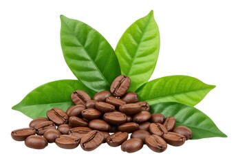 Fototapeta premium Fresh roasted aroma coffee beans and green leaves product closeup
