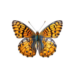 Majestic Orange and Blue Butterfly with Detailed Wings on Transparent Background