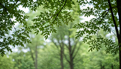 Le vert &eacute;clatant des feuilles d'un arbre dans une for&ecirc;t luxuriante