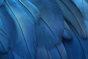 Vivid blue feathers create a stunning texture reminiscent of nature's artistry in bright sunlight