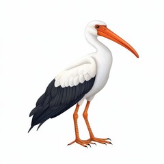 Obraz premium Detailed Illustration of a White and Black Stork with an Orange Beak