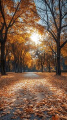 Fototapeta premium Autumnal park path bathed in golden sunlight