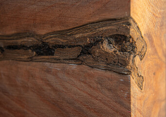 A particular texture in the center of a piece of wood