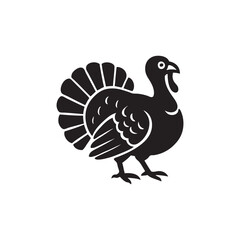 vector illustration of a turkey