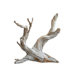 Fototapeta premium Intricate Driftwood Sculpture, Weathered Grey and Beige Wood, Isolated on Transparent Background