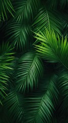 tropic leaves background