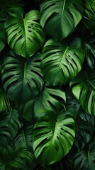 tropic leaves background