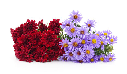 Two bouquets of chrysanthemums.