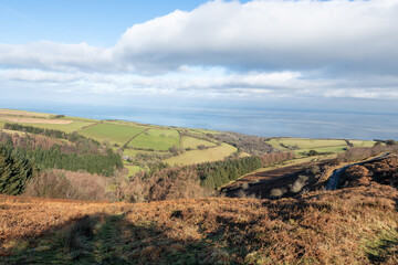 Naklejka premium Porlock Common at the top of Porlock hill in Exmoor National Park