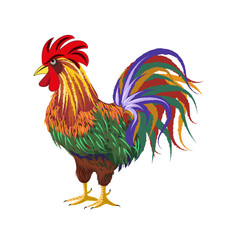 
Vector Decorative Rooster Clipart with Colorful Plumage. Colorful rooster illustration with vibrant feathers and rainbow tail isolated on white background