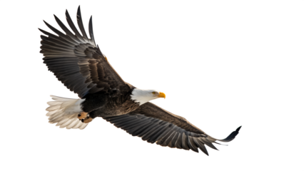 Majestic bald eagle soaring against a dark background showcasing powerful wingspan and freedom