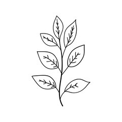 Minimal Leaf Line Drawing. Elegant black and white illustration of a single leaf stem drawn in a clean minimalist style.