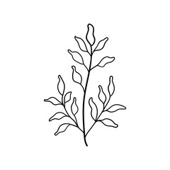 Minimal Leaf Line Drawing. Elegant black and white illustration of a single leaf stem drawn in a clean minimalist style.